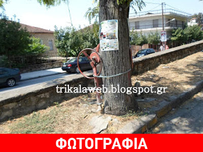 Οικοδόμος έδεσε την μπετονιέρα γύρω από το δέντρο